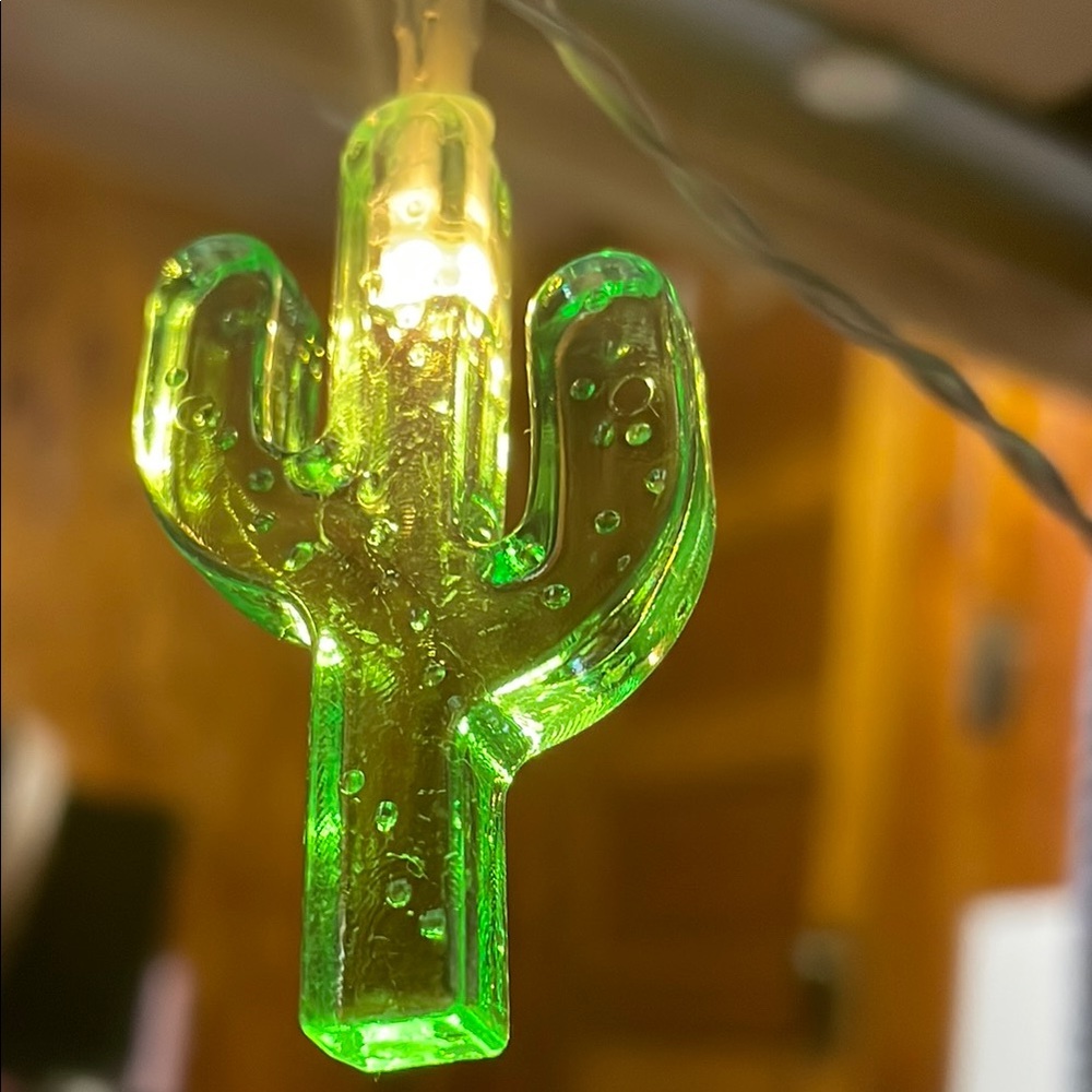 Vibrant Cactus String Lights
